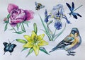 Flowers, birds and insects